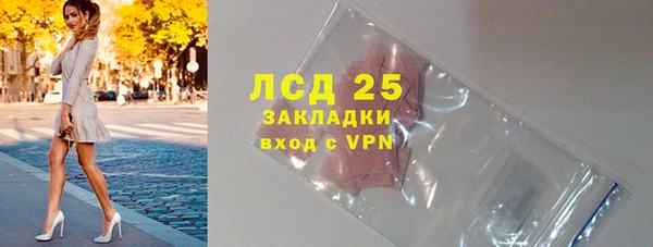 индика Гусев