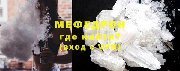 индика Гусев