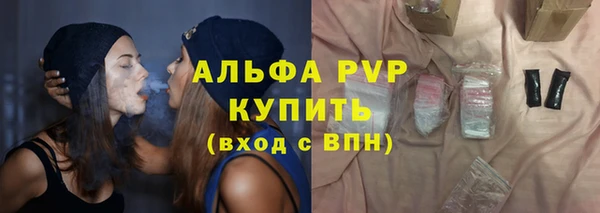 индика Гусев