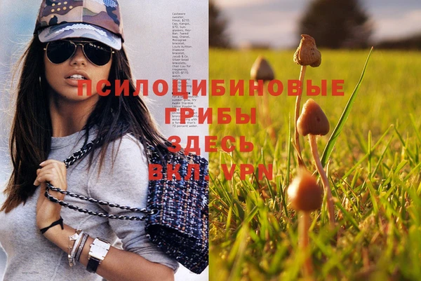 мяу мяу кристалл Дмитров