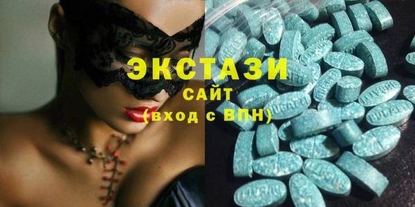 индика Гусев